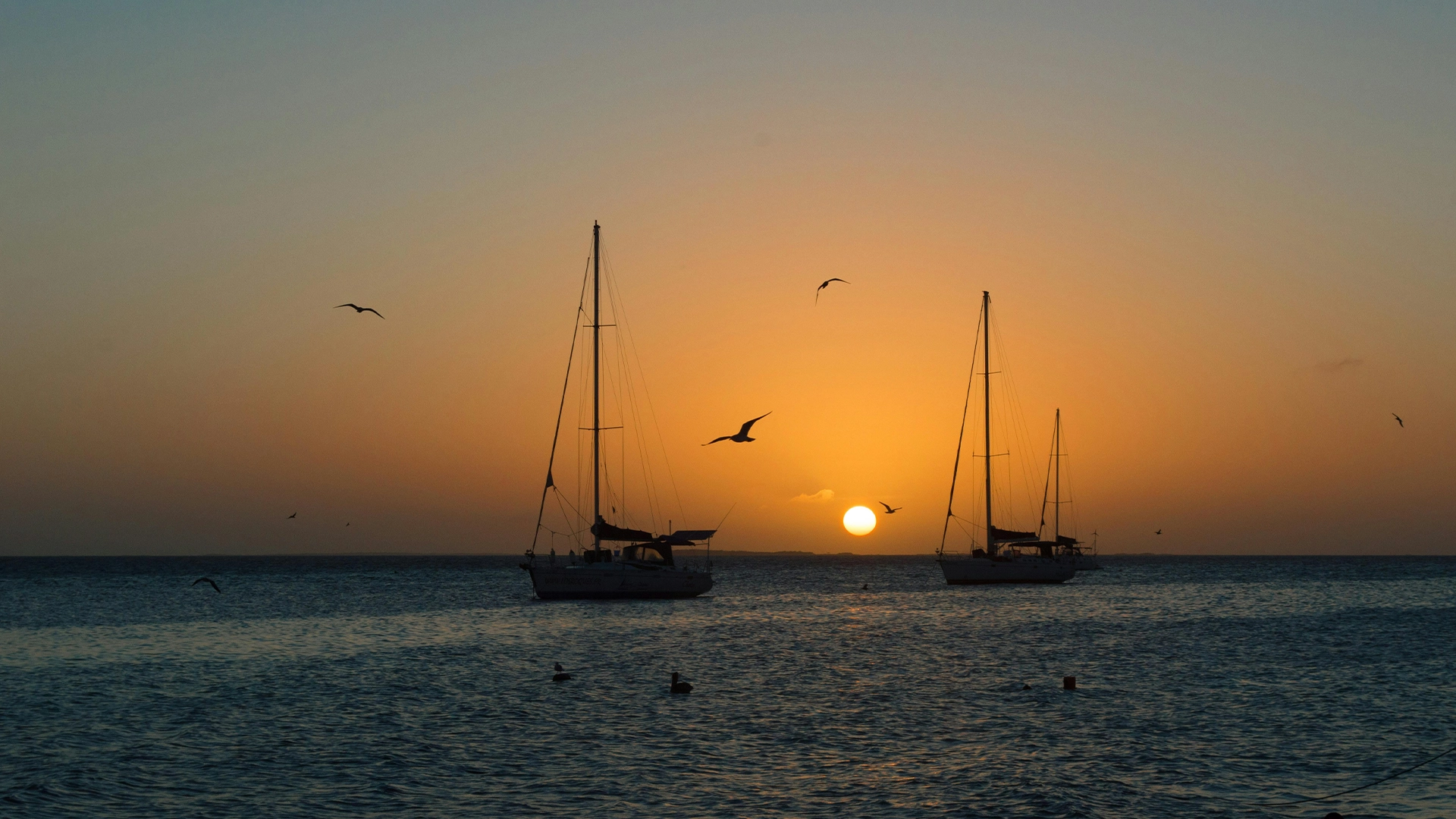 Customer Satisfaction